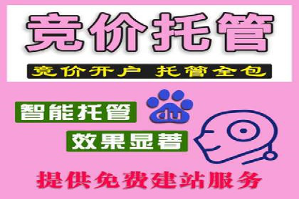 SEM托管优化案例深度解析